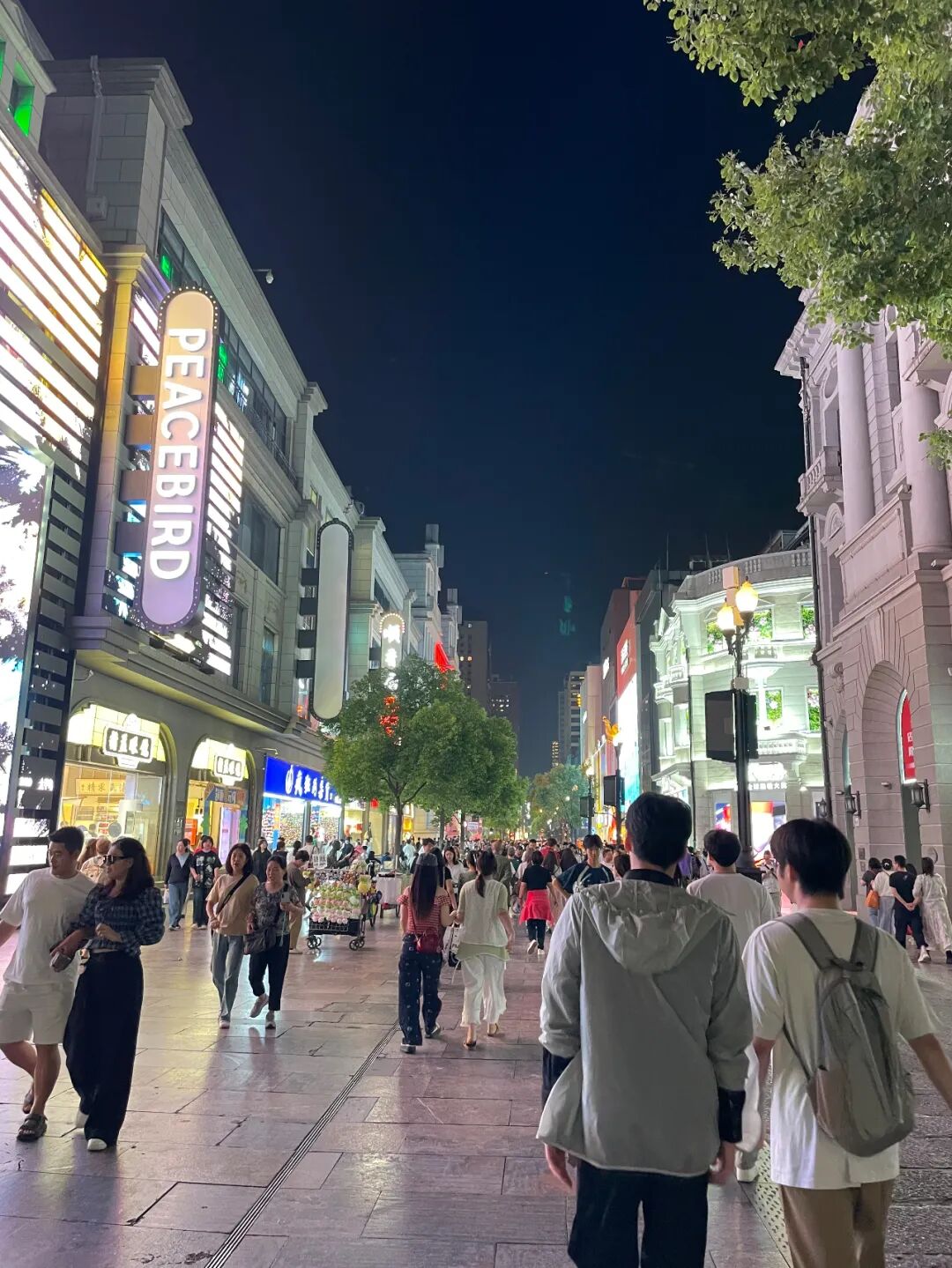 什么是外周支架雁过留声, 但它什么也没留下-外周可回收支架系统_https://www.jmylbn.com_新闻资讯_第2张