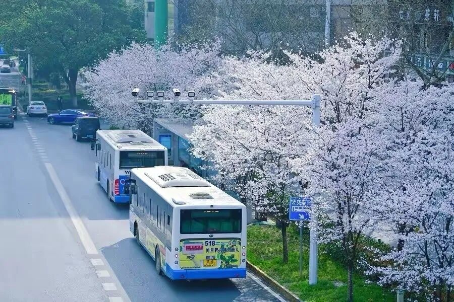 子宫支架是什么髂静脉支架能否耐受妊娠子宫？_https://www.jmylbn.com_新闻资讯_第2张