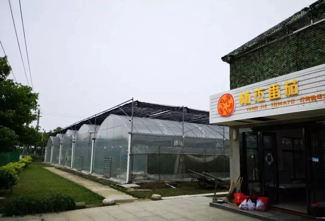 这项国家级荣誉，全省唯一的获得者是咱宜兴人！