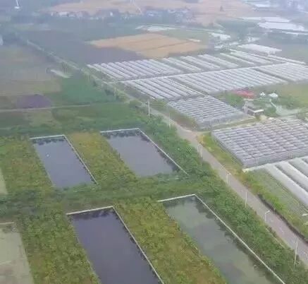 这项国家级荣誉，全省唯一的获得者是咱宜兴人！