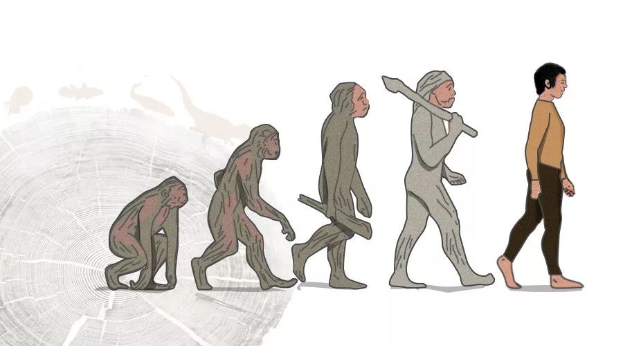 健力多万万没想到当人类进化到直立行走身体关节这么难