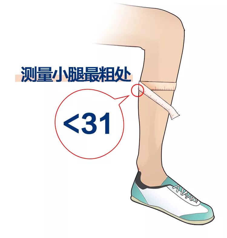 >31cma.≤31cm量一量你的小腿围是多少?