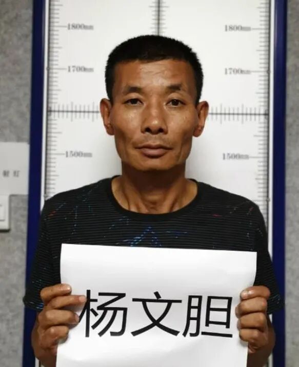杨文胆(绰号"杨主任"),男,纳西族,55岁,云南省丽江市古城区西安街道人