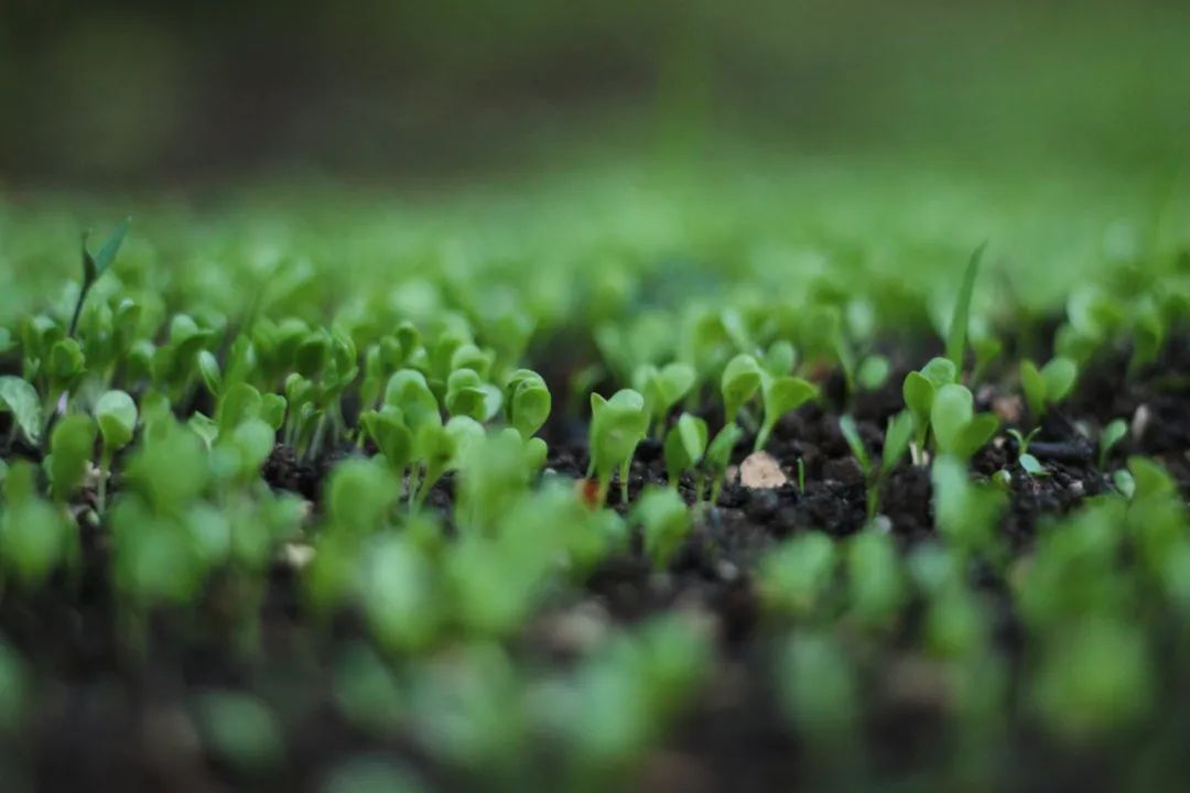 爱思贝 爱思贝 教育新闻