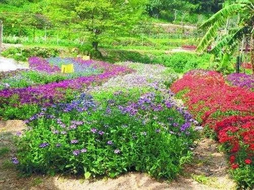 地點:泉州清源山,武陵農場,洛江區馬甲鎮仙公山,惠安縣紫山鎮筆架山