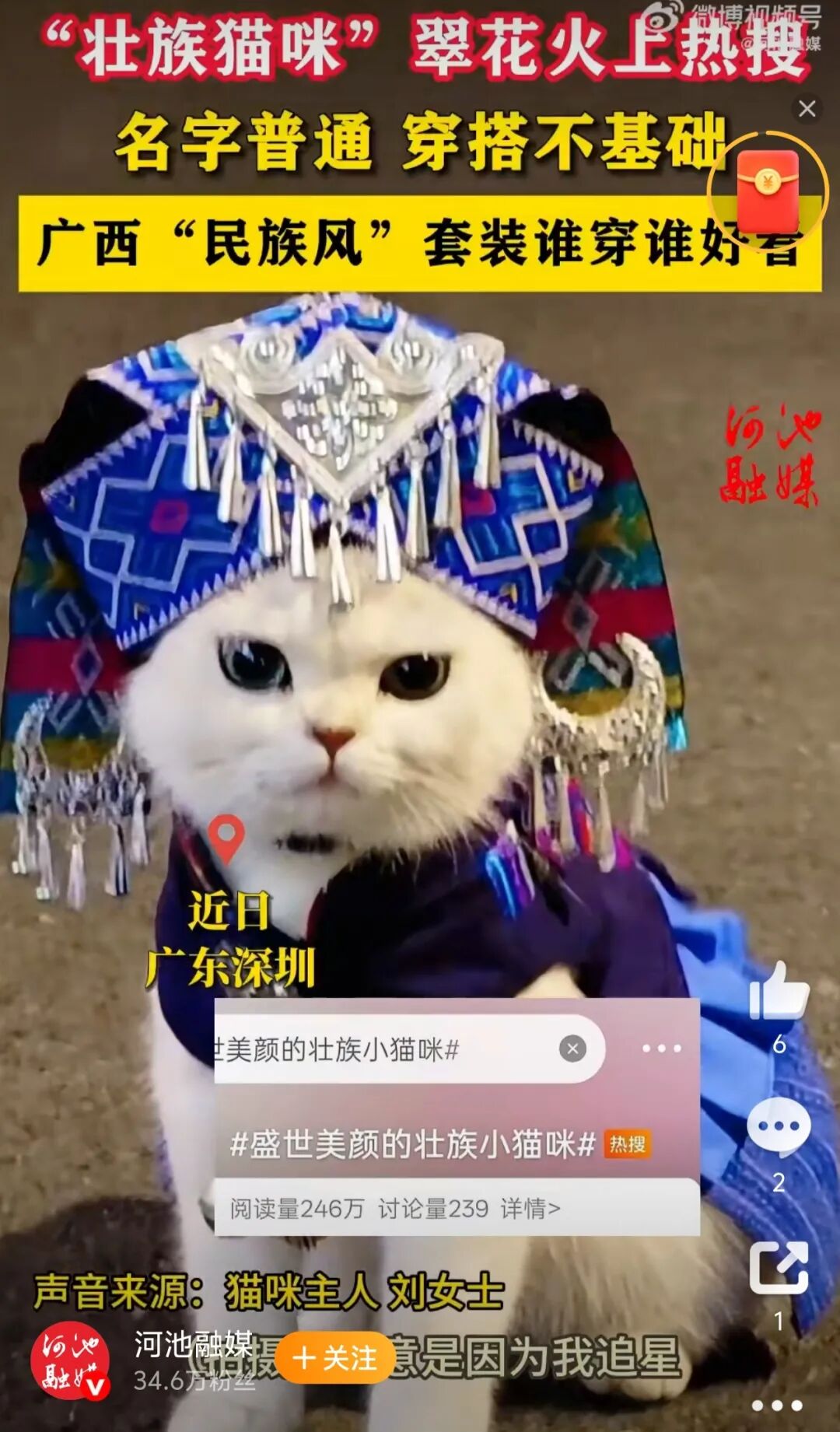 民族风也是吹到了宠物界,民族风也是吹到了“咪界”！小猫咪穿起传统服饰，萌度直接爆..