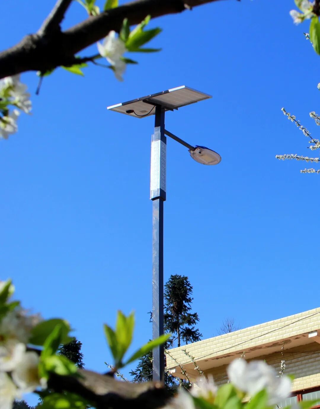 绿化乡小海子村小路灯扮靓村庄暖民心