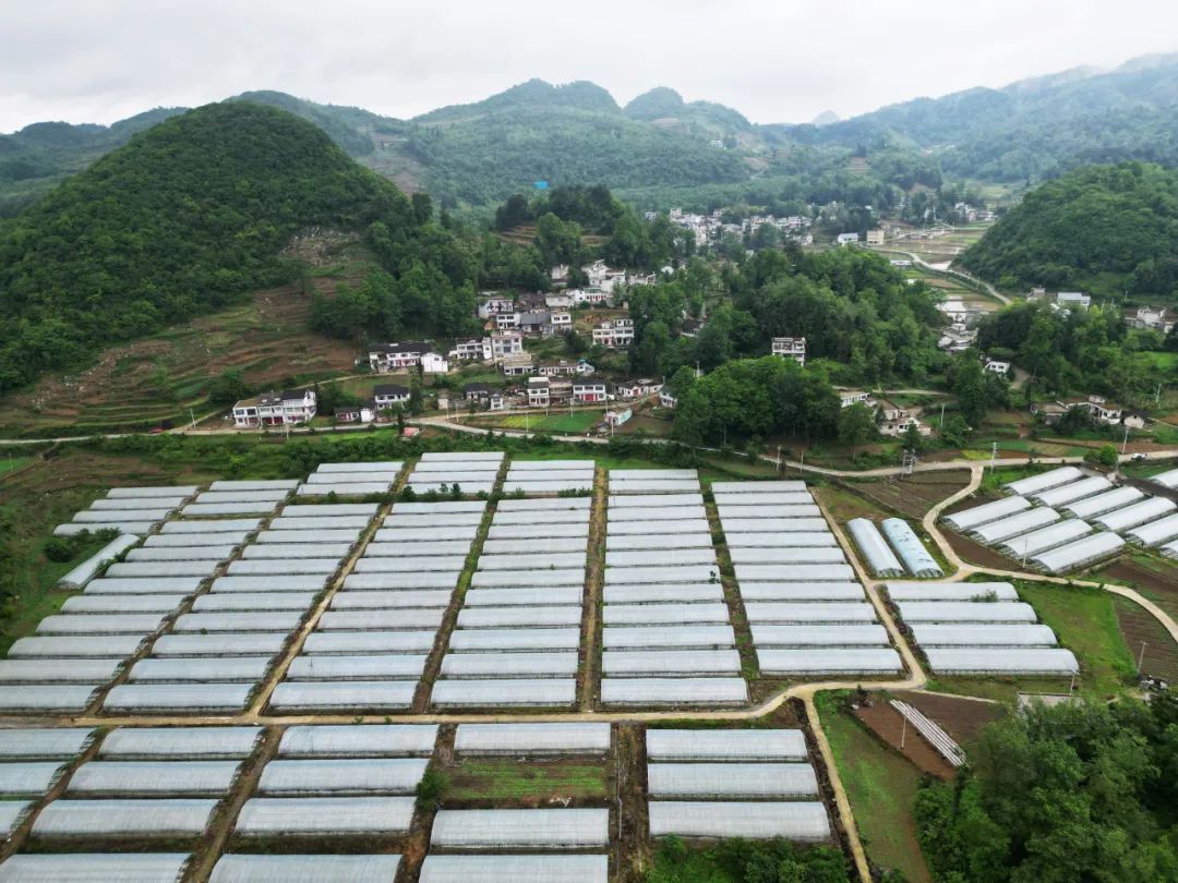 雨朵镇图片