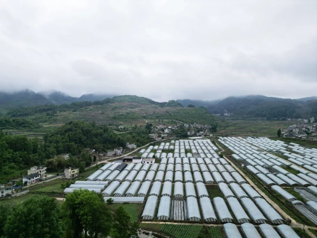 雨朵镇图片