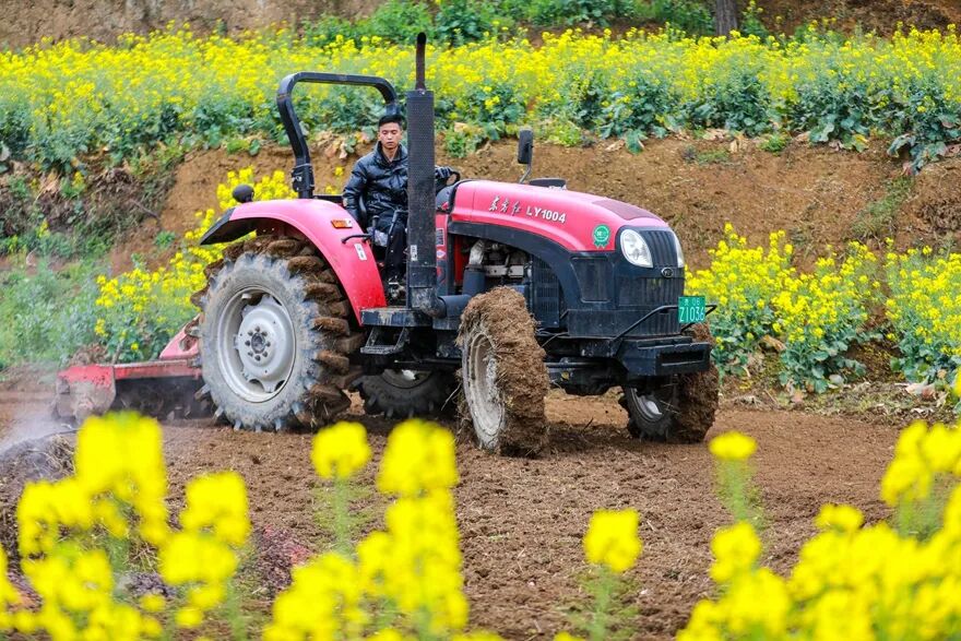 黔西农机撒欢跑农田绘丰景