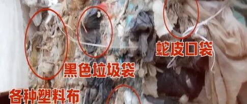 文章封面