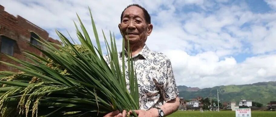 文章封面