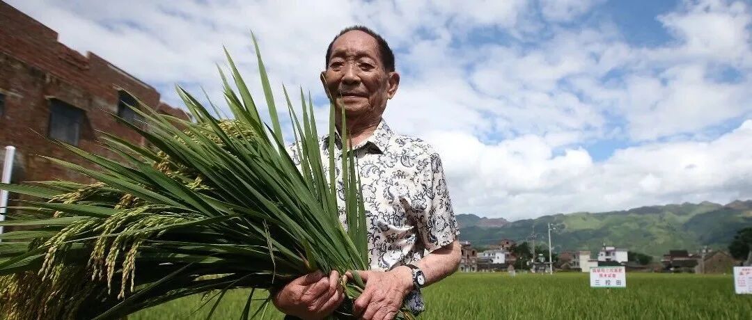 文章封面