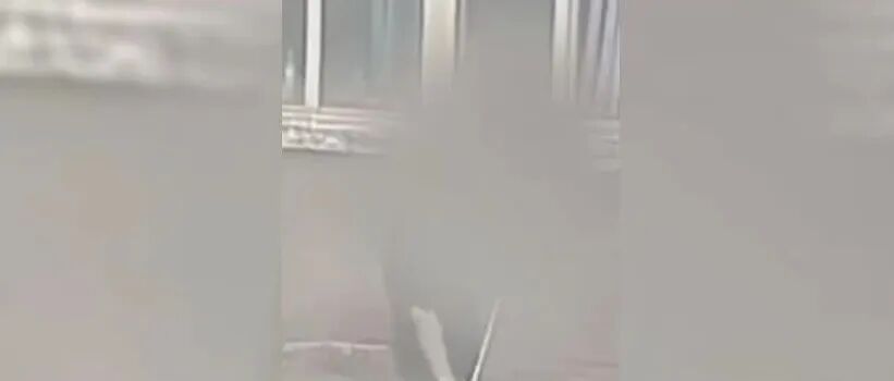 文章封面