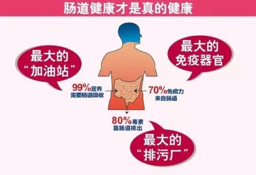 肠不好人快老！怎样让肠道更年轻更健康？