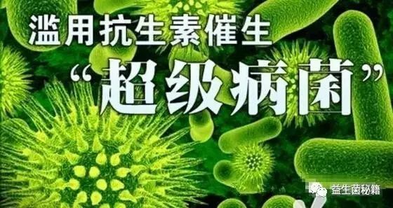 使用抗生素后为什么建议补充益生菌？