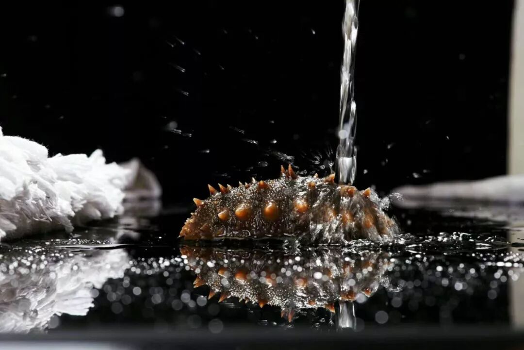 别再说吃不起海参了！你比海参贵！