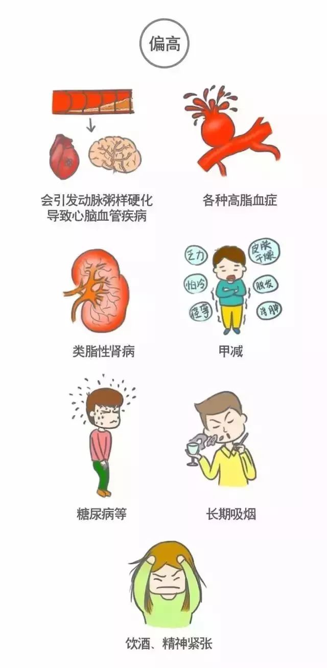 看不懂你的體檢報告嗎？來看看這篇文章！ 健康 第15張