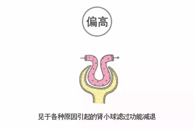 看不懂你的體檢報告嗎？來看看這篇文章！ 健康 第46張