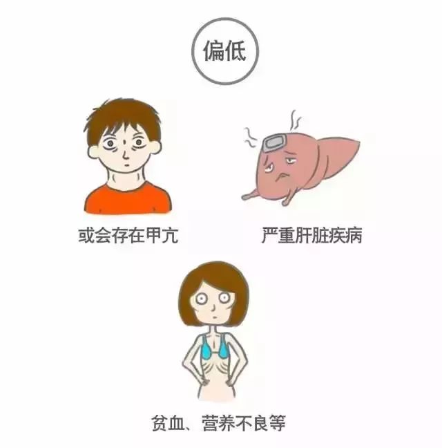 看不懂你的體檢報告嗎？來看看這篇文章！ 健康 第14張