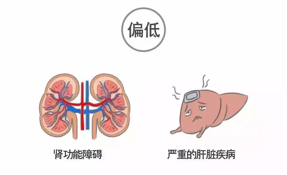 看不懂你的體檢報告嗎？來看看這篇文章！ 健康 第49張