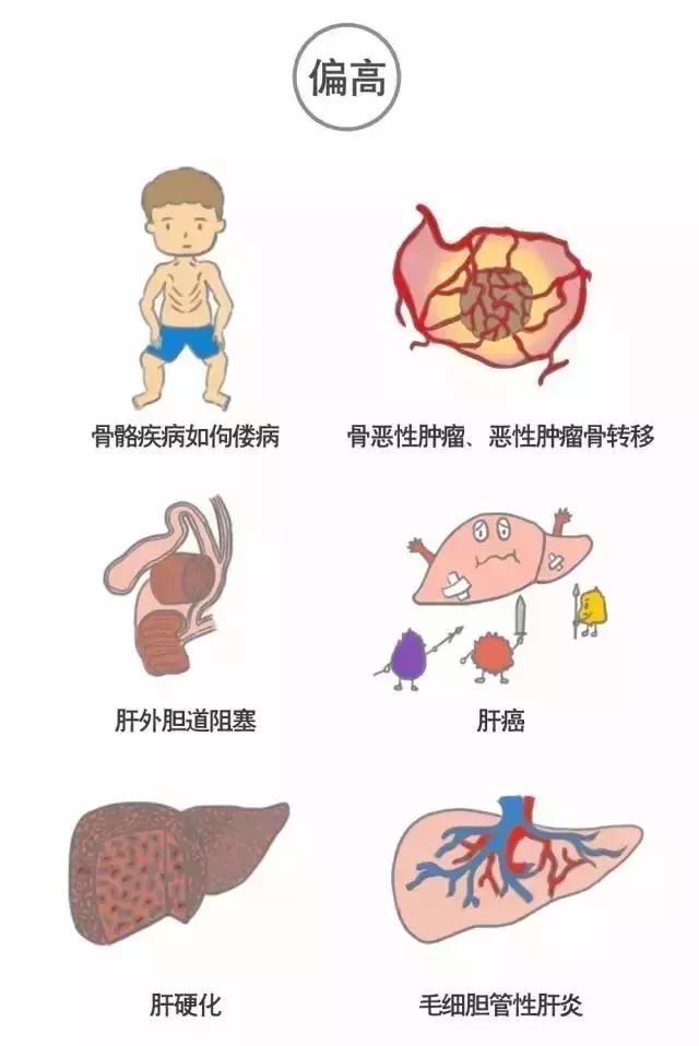 看不懂你的體檢報告嗎？來看看這篇文章！ 健康 第60張