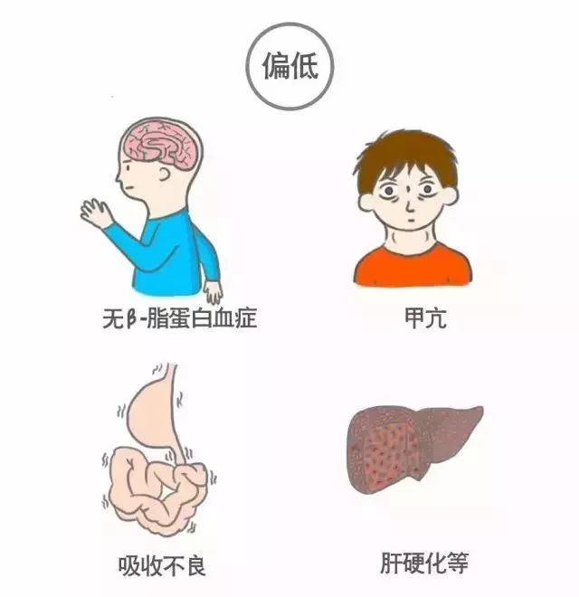 看不懂你的體檢報告嗎？來看看這篇文章！ 健康 第18張