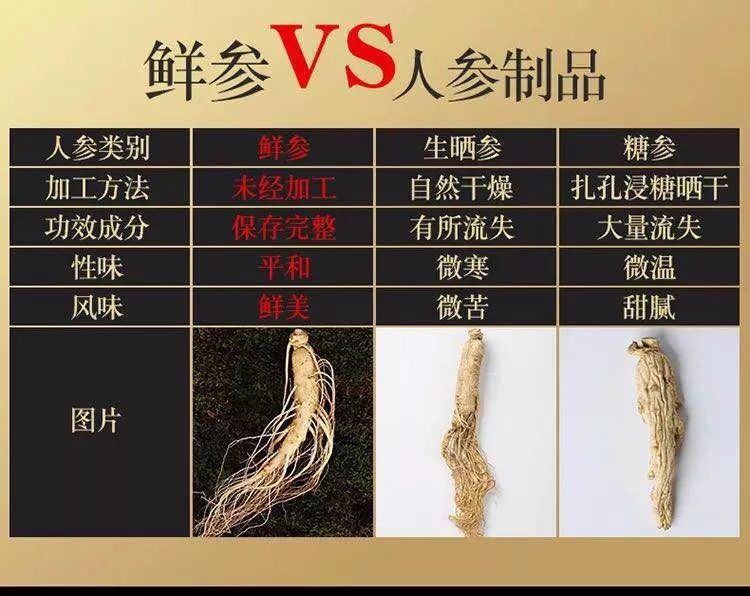 无病三分虚 吃根新鲜人参补一补 她情感 微信公众号文章阅读 Wemp