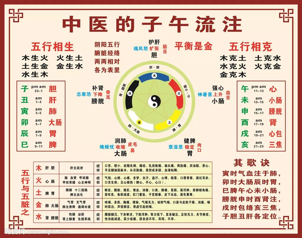 子午流注 易身堂助手 微信公众号文章阅读 Wemp