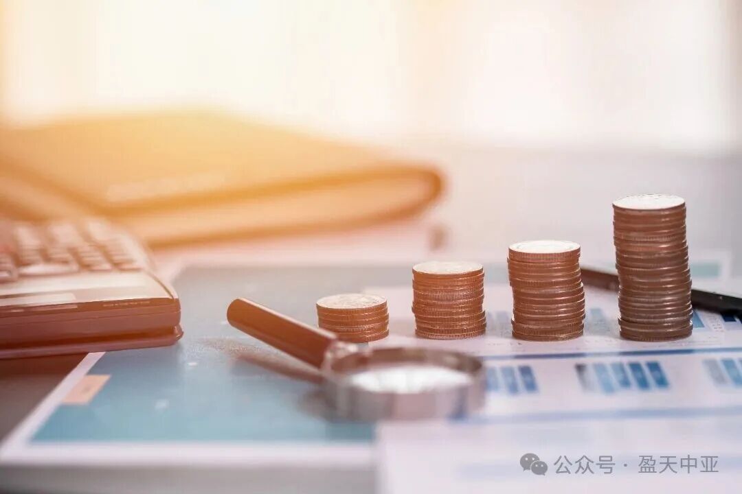 吉尔吉斯斯坦进口药物增值税豁免