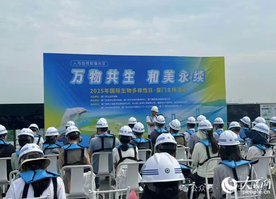 活动现场。人民网记者 张萌摄