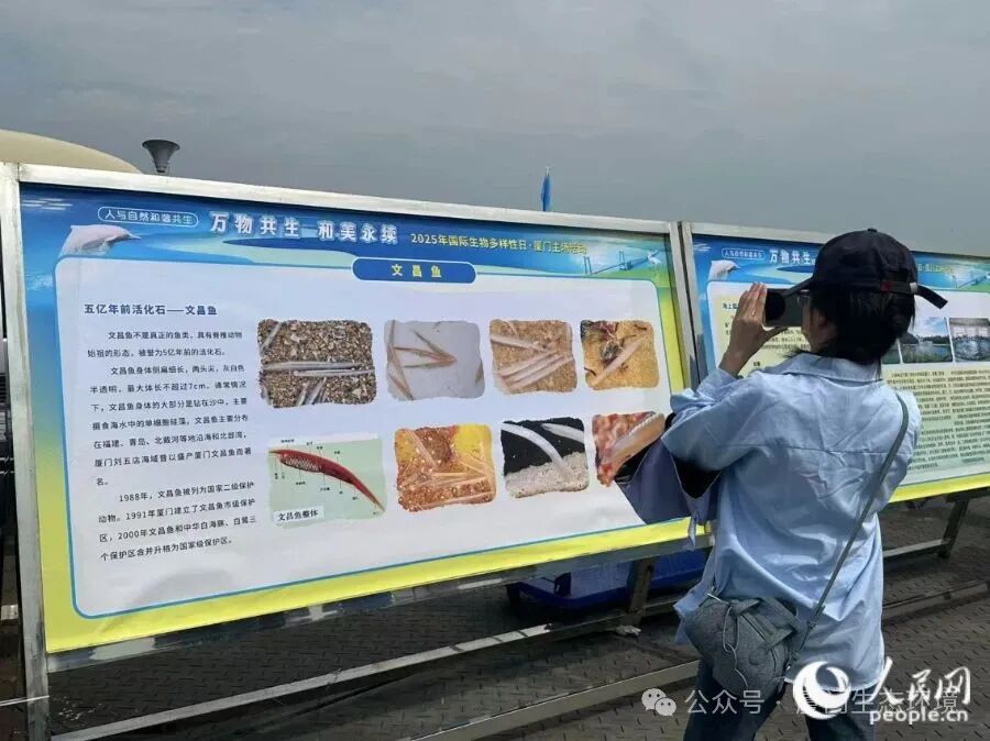 与会代表观看现场设置的珍稀海洋物种科普教育宣传展板。人民网记者 张萌摄