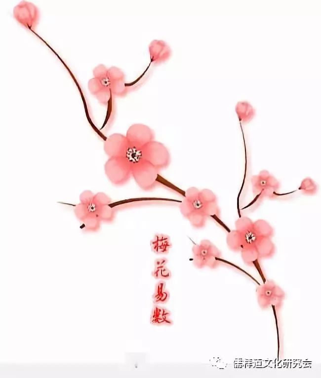 梅花易数风_周易梅花数全译_梅花宋王安石墙角数