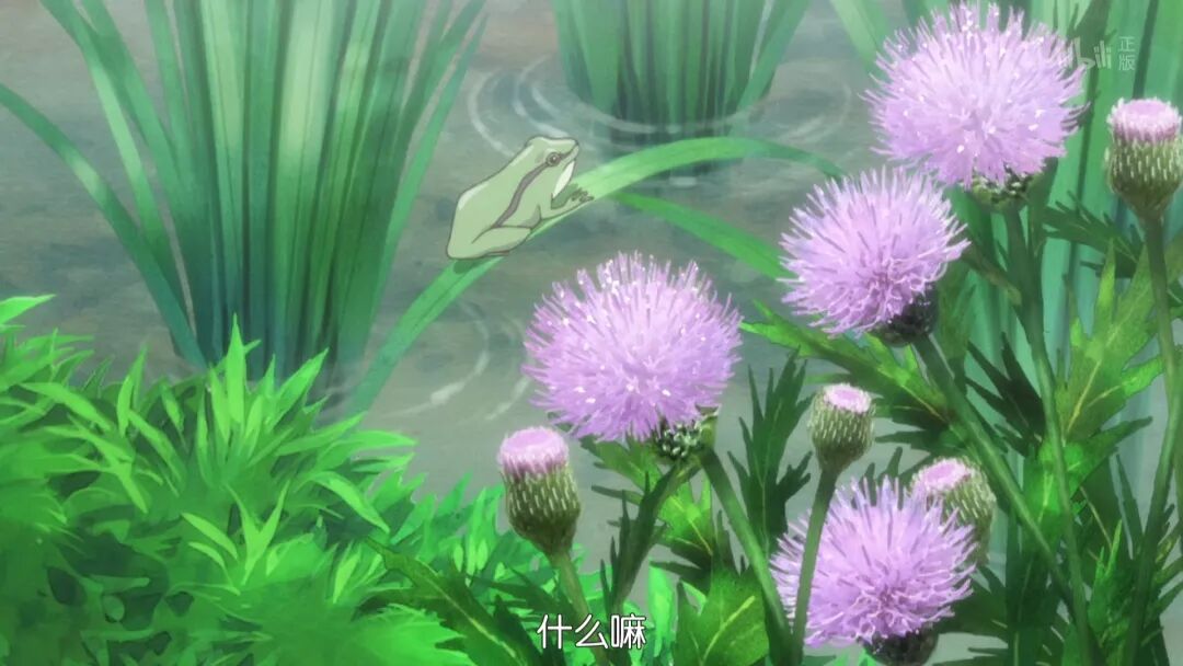 夏目友人帐 多姿多彩的植物 悟离的梨 微信公众号文章阅读 Wemp