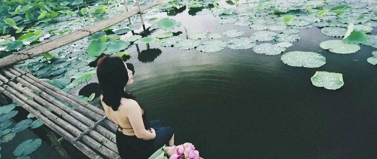 有多少人败给了“荷花定律”？