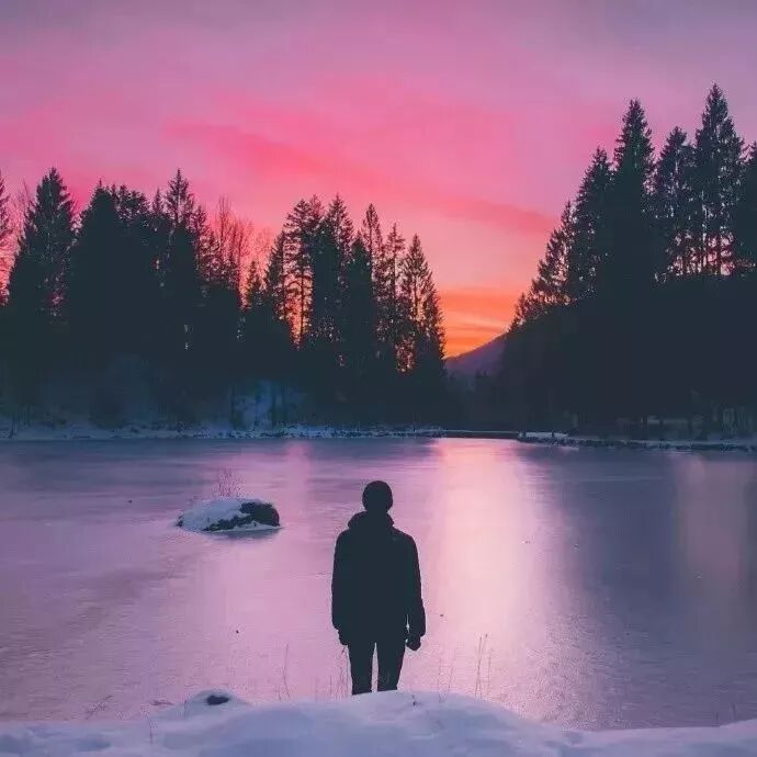 请不要假装很努力， 因为结果不会陪你演戏！