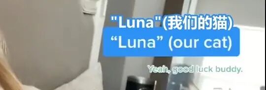 【情感】“假如离婚，你可以带走3样东西…”男人的回答一个比一个扎心（组图） - 5