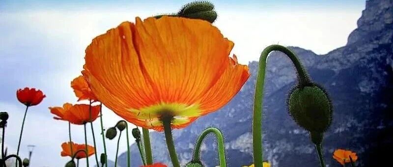 很有真理的一段话 励志人生名人名言 微信公众号文章 微小领