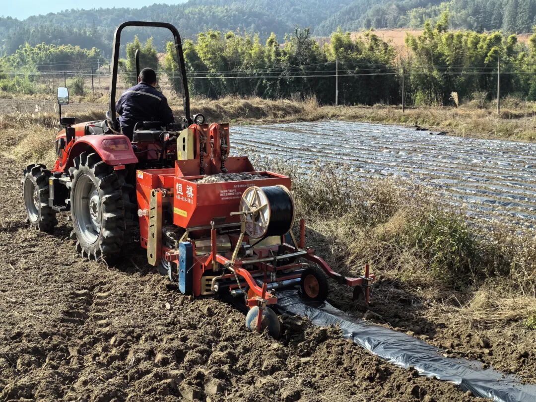 100亩土豆开启机械化种植新模式