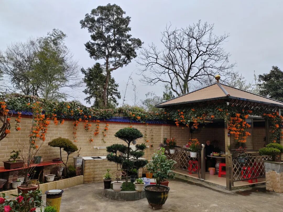 绿美始兴谢碧群以小美庭院扮靓大美乡村始兴县美丽庭院示范户风采展示