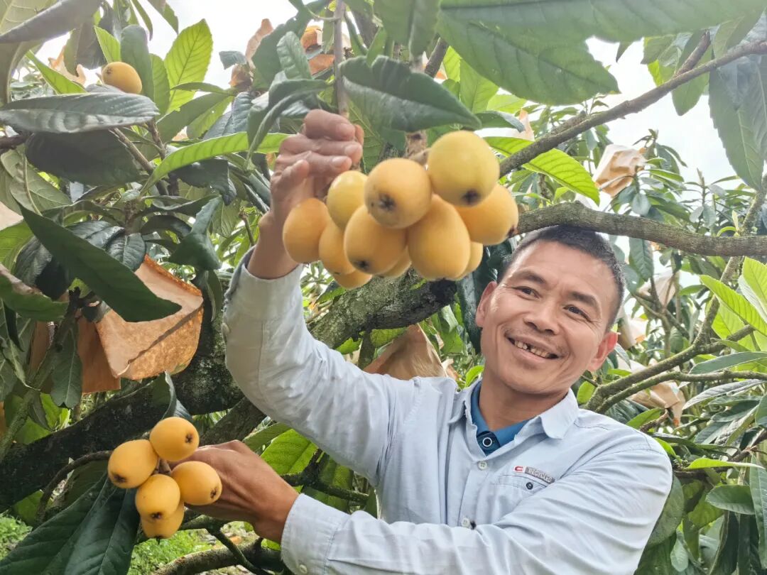 百千万工程始兴快来尝鲜开春第一果