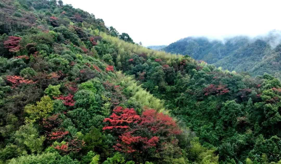 始兴北山景点图片