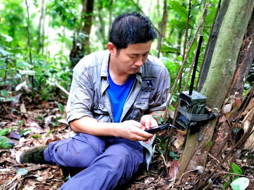 束祖飞在车八岭世界生物圈保护区布设红外相机（车八岭保护区 供图）.jpg
