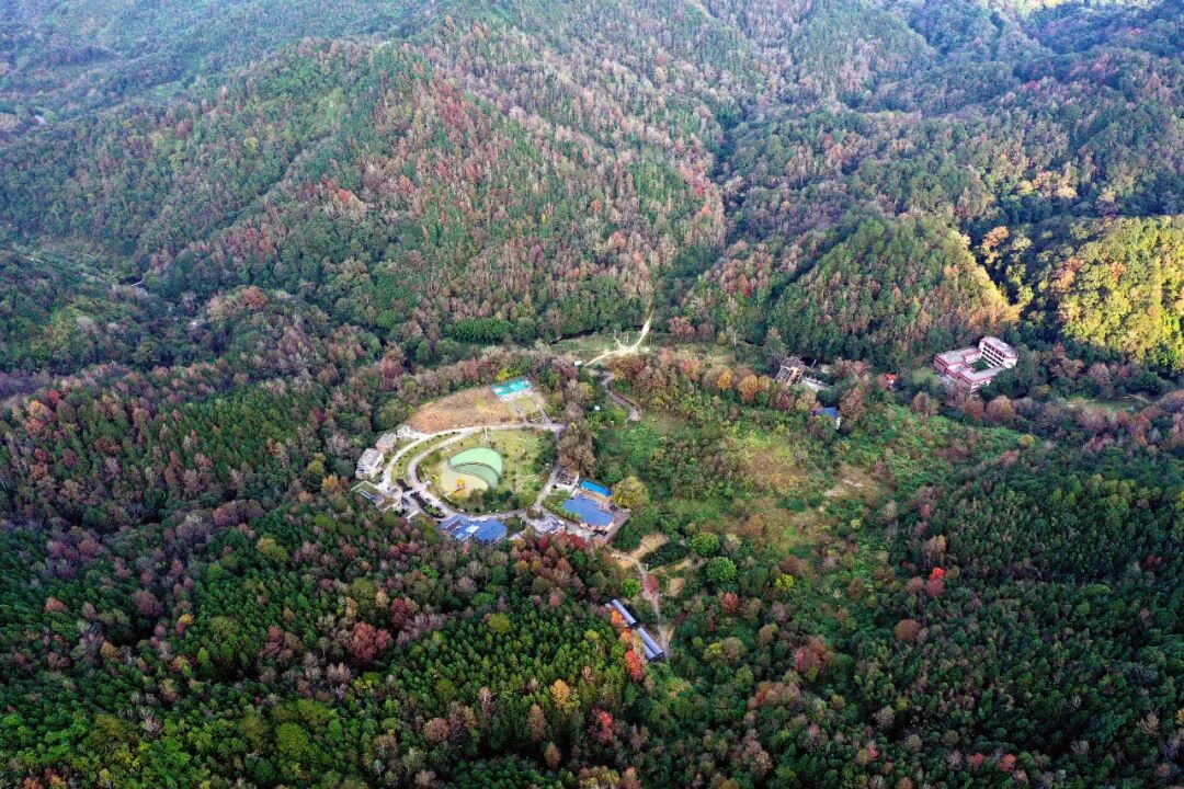 据介绍,车八岭国家级自然保护区始建于1981年,1988年经国务院批准成为