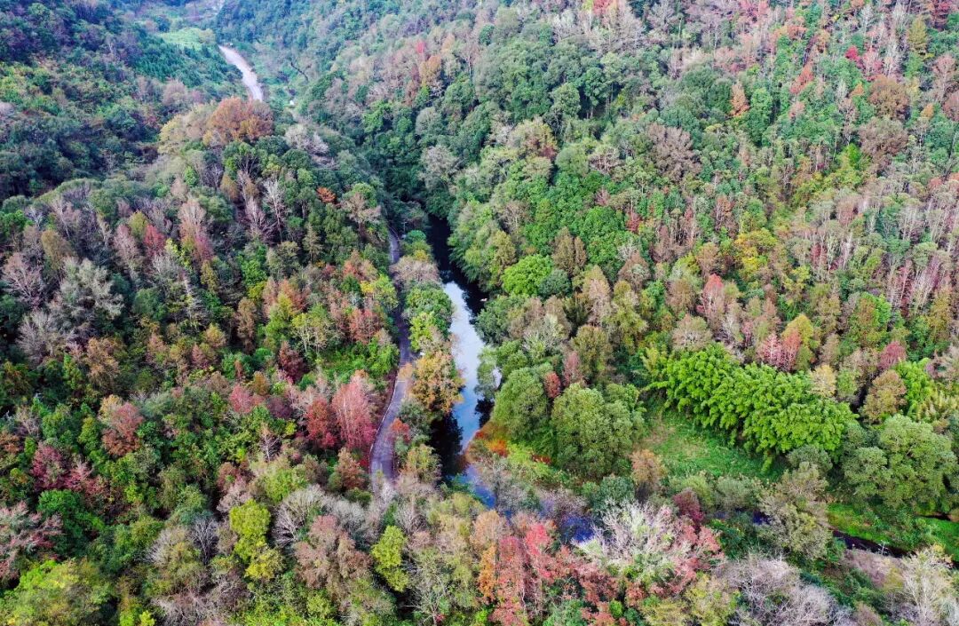 始兴车八岭峰峦如聚红叶黄花秋意晚