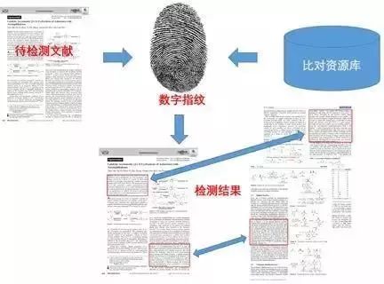 百度不收录互动百科_百科收录规则_百科论坛收录