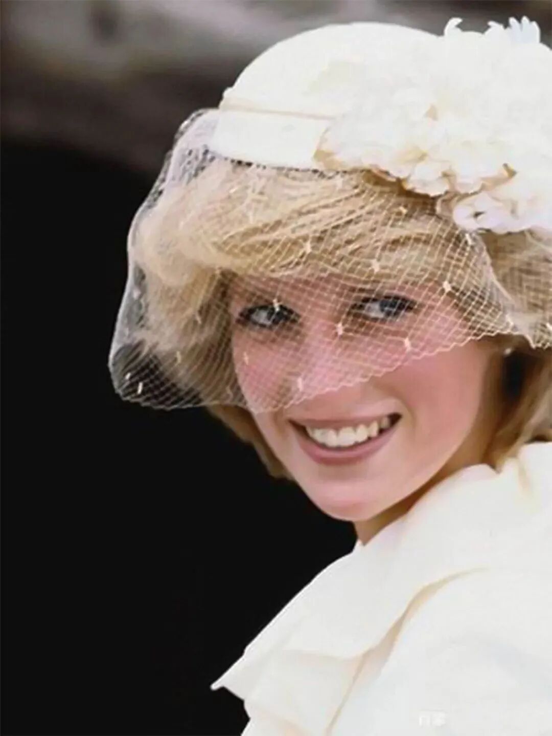 戴安娜王妃图册_360百科