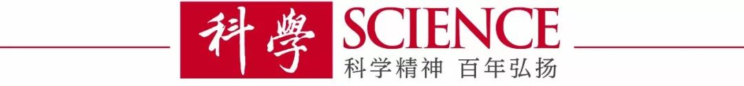 全球科技创新中心：发展模式与中国实践