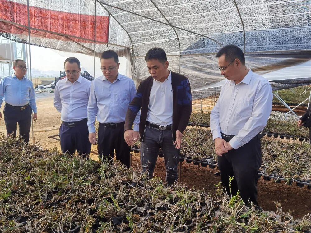 胡汉顺赴广西来宾市开展劳务协作交流活动-茂名市人力