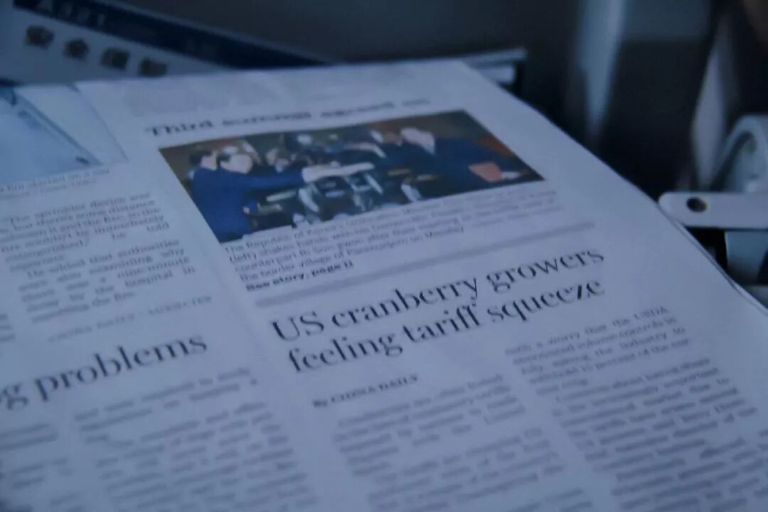 《留學圈群體圖鑒》 留學 第7張